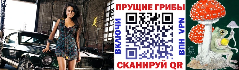 где продают   Высоцк  Галлюциногенные грибы Cubensis 
