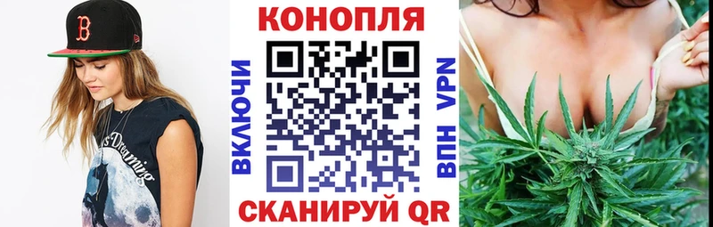 Марихуана гибрид  Высоцк 